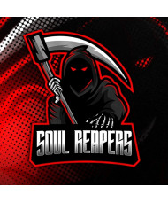 SOUL REAPERS